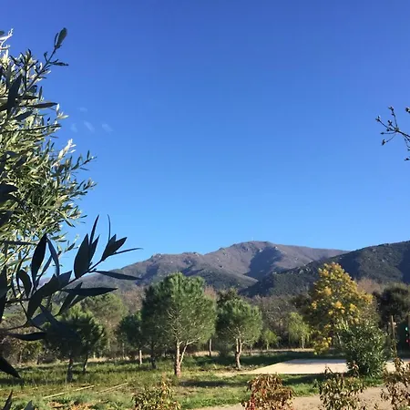 Domaine Pedra Llampada Cerise * Villelongue-dels-Monts