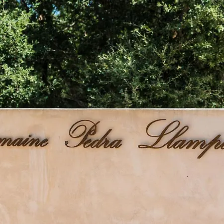 Domaine Pedra Llampada Cerise *