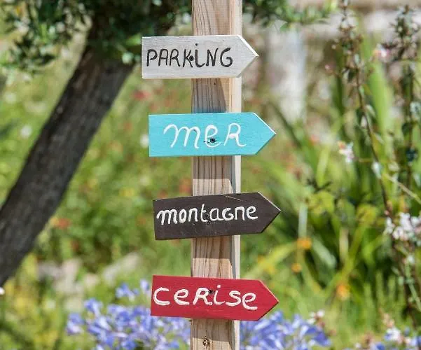 Domaine Pedra Llampada Cerise